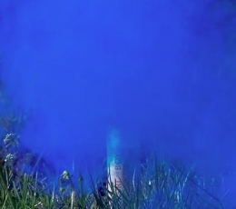 Дымчатые свечи "Это мальчик", синие (5 шт./22 см) 4