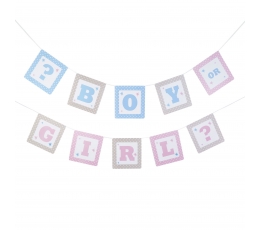 Гирлянда "Boy or Girl?" (3,5 м)
