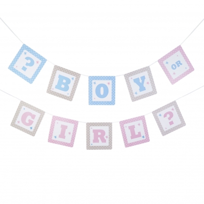Гирлянда "Boy or Girl?" (3,5 м)