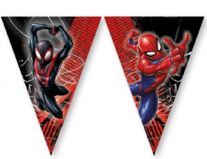 Гирлянда из флагов "Spiderman Web''