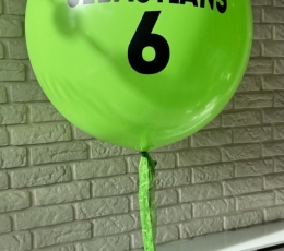 Индивидуальная наклейка на воздушный шар "Sebastians 6''
