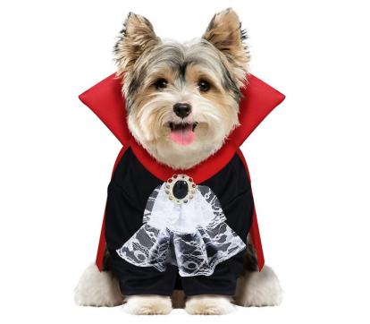 Костюм питомца "Вампир" (M)