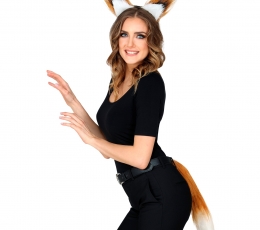 Набор аксессуаров "Лиса" 0