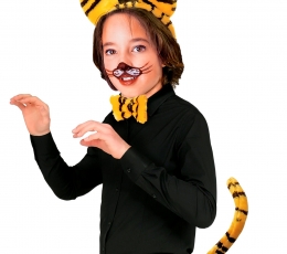 Набор аксессуаров "Тигр" 1