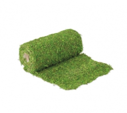 Настольная дорожка из натурального мха, зеленая (30x200 см)