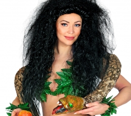 Парик «Ведьма в беспорядке» 2