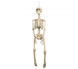 Подвесный скелет (92 см)