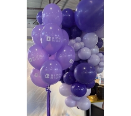 Рекламные шары с логотипом "BION BION''