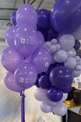 Рекламные шары с логотипом "BION BION''