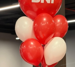 Рекламные шары с логотипом "BNI"