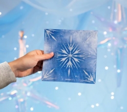 Салфетки "Лед" (20 шт.) 1