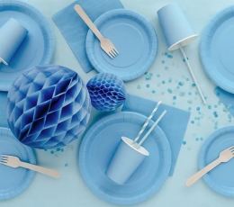 Синие салфетки (20 шт.) 1