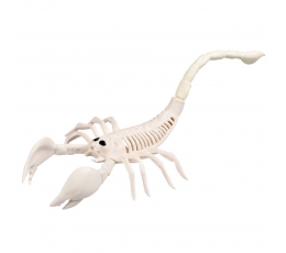 Скелет скорпиона
