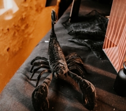  Скорпион декоративный, бархат черный (14,5х20,5 см) 2