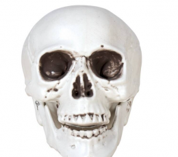 Украшение "Череп" (8 см)