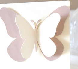Бабочки, кремового цвета (20 шт. / M) 1