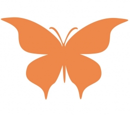 Liblikad "Armastus L"/ oranž (20 tk.)