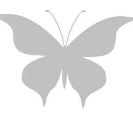 Tauriņi, pelēkā krāsā (20 gab./ L)