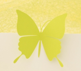 Бабочки, салатовый цвет (20 шт. / Л) 1